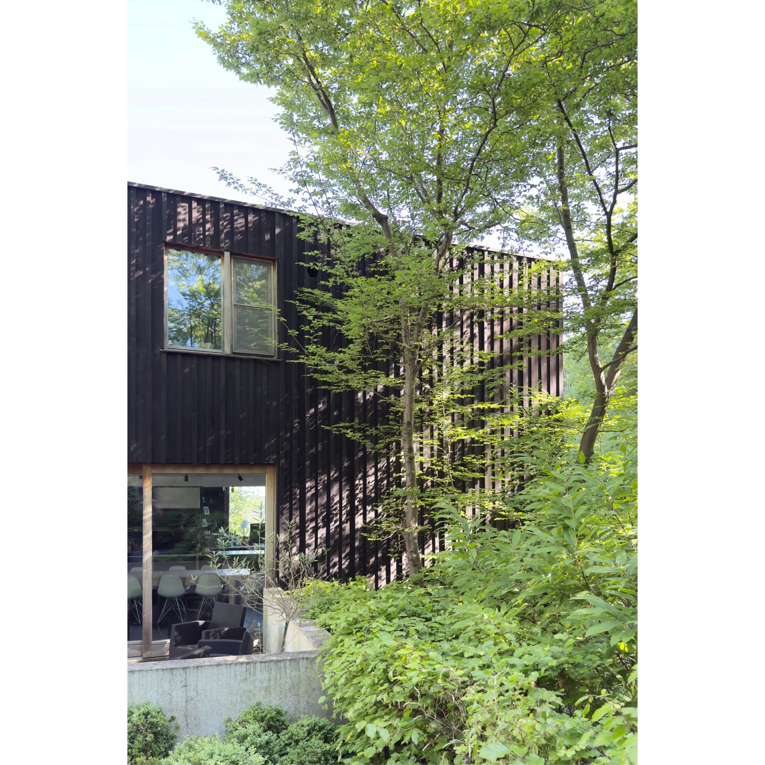 Projet_Habitation arbres103.jpg