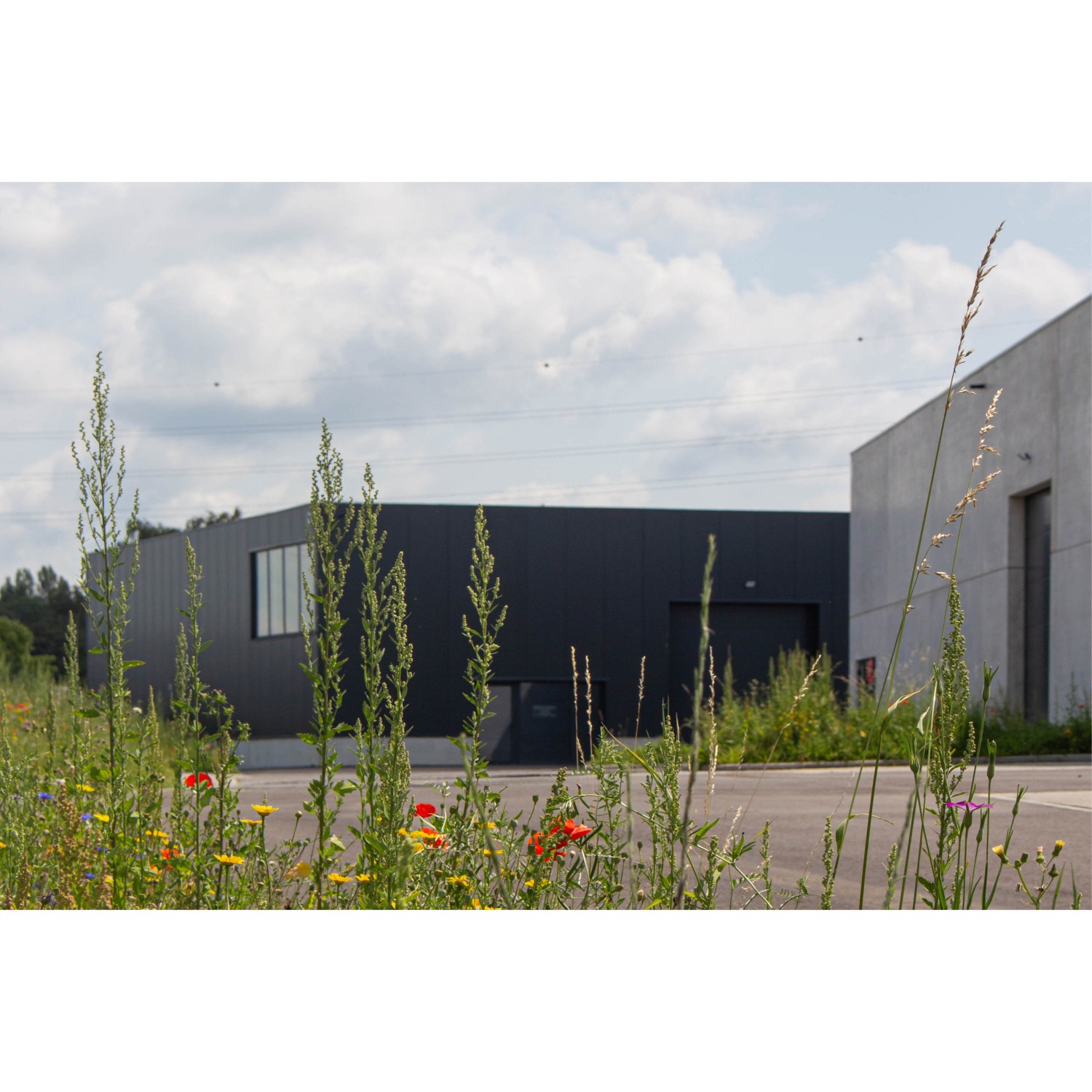 Projet_Hall industriel.jpg