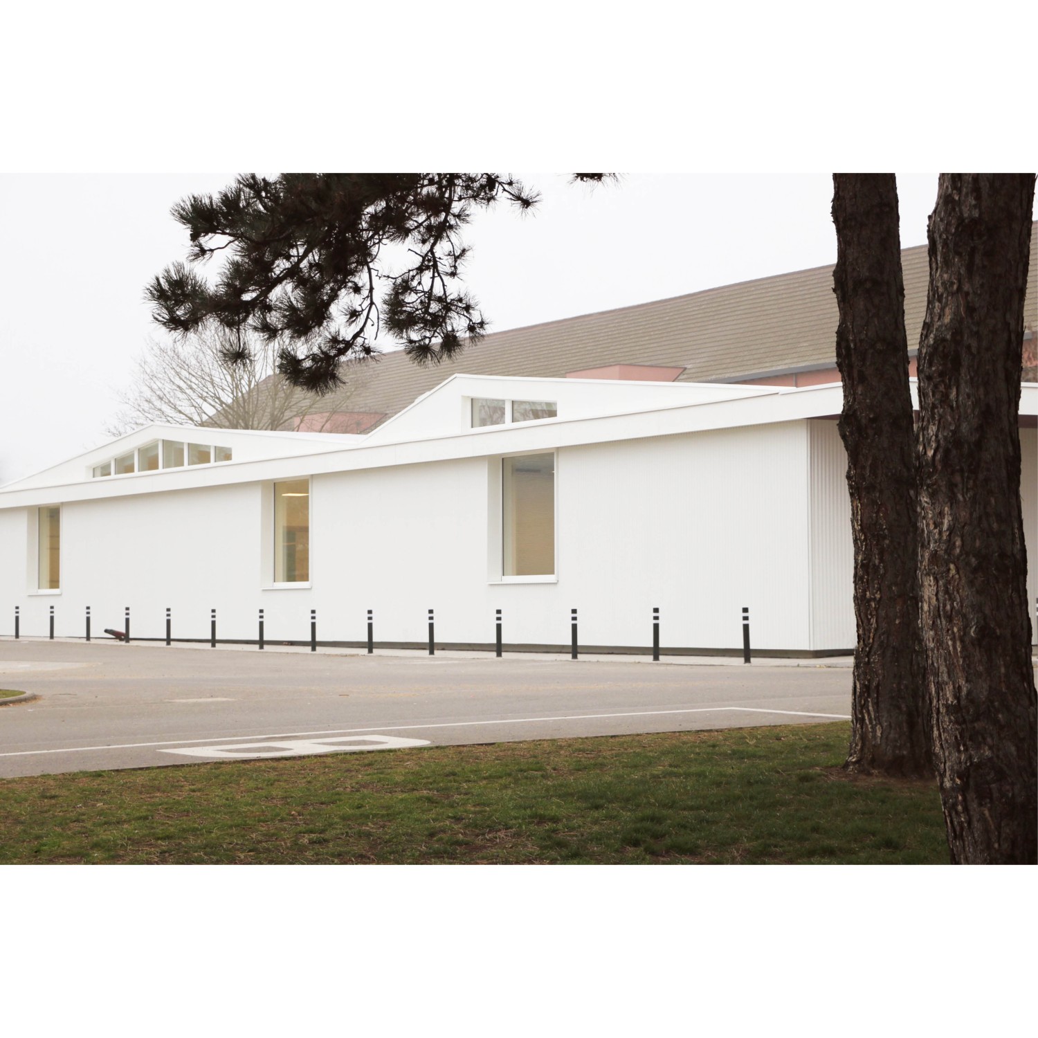 Projet_Ecole Emile Muraille.jpg