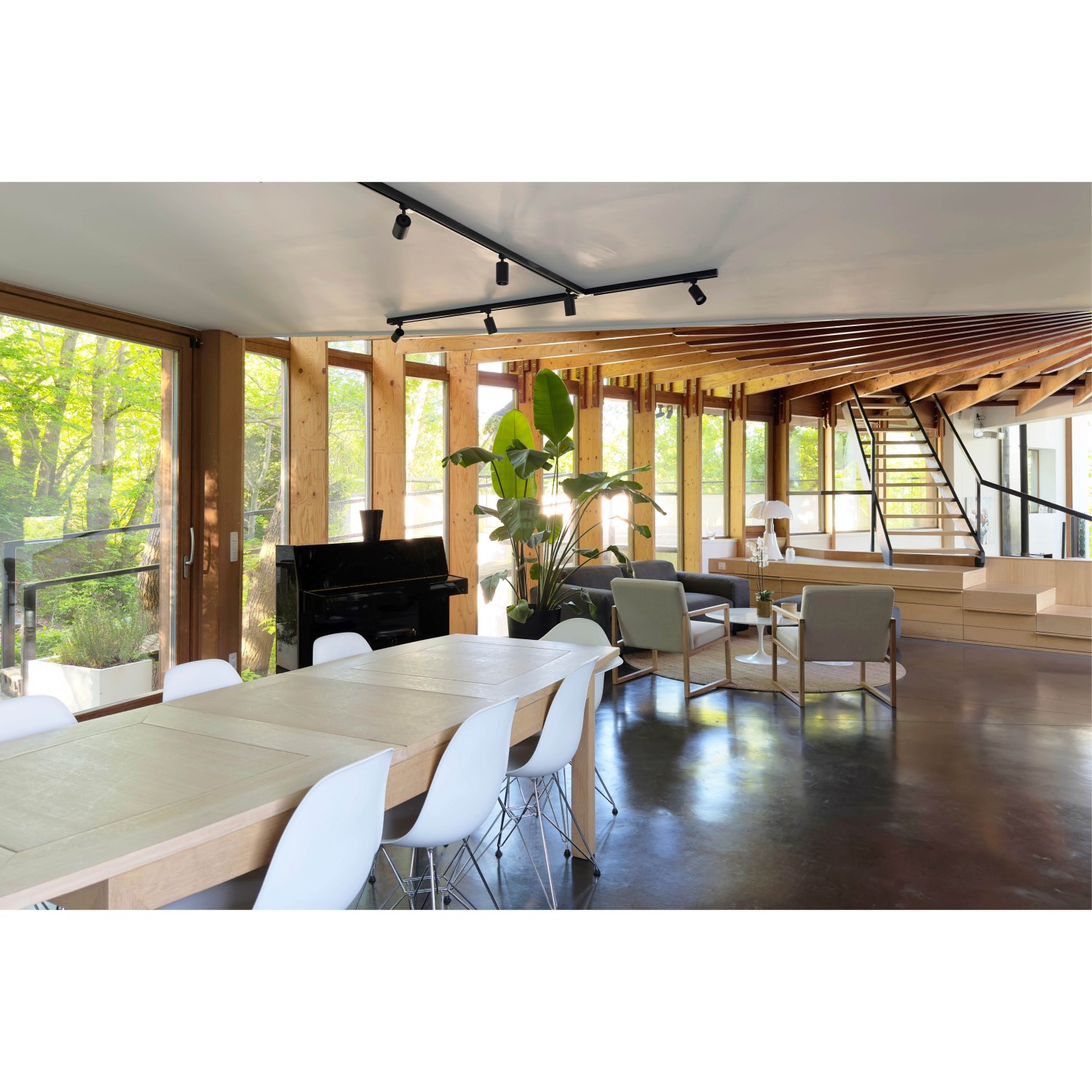 Projet_Habitation arbres107.jpg
