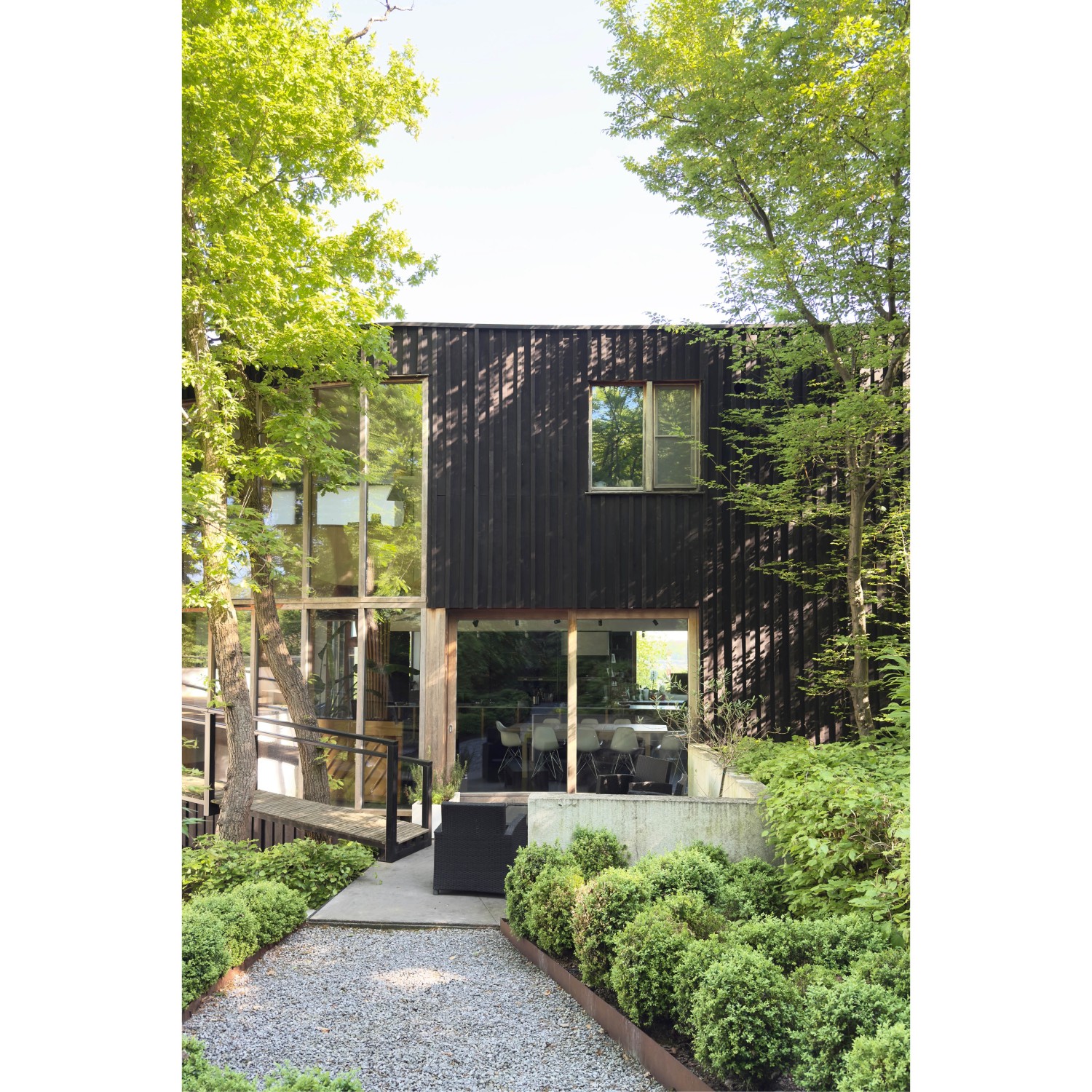 Projet_Habitation arbres102.jpg