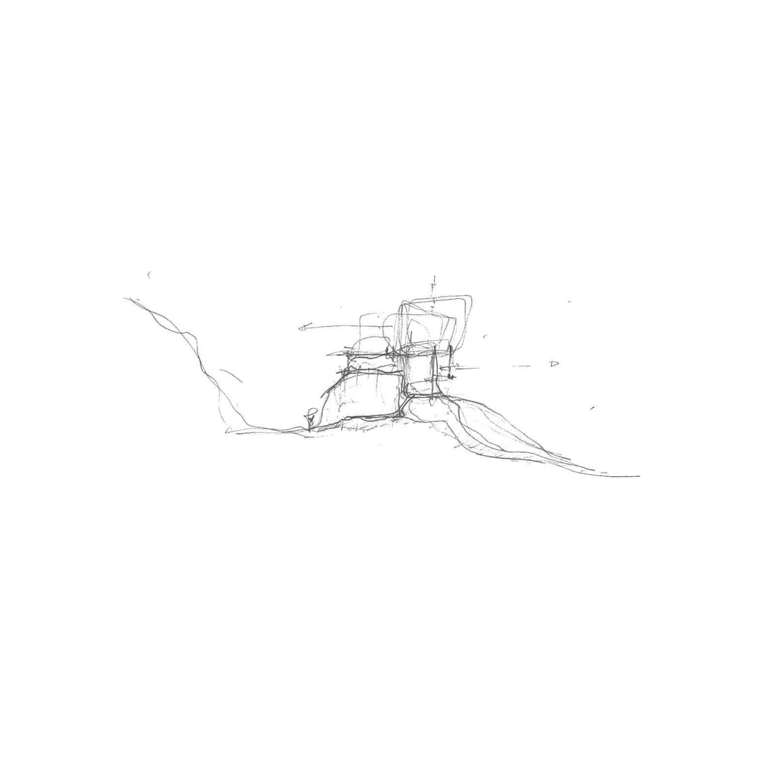 Projet_Habitation arbres9.jpg