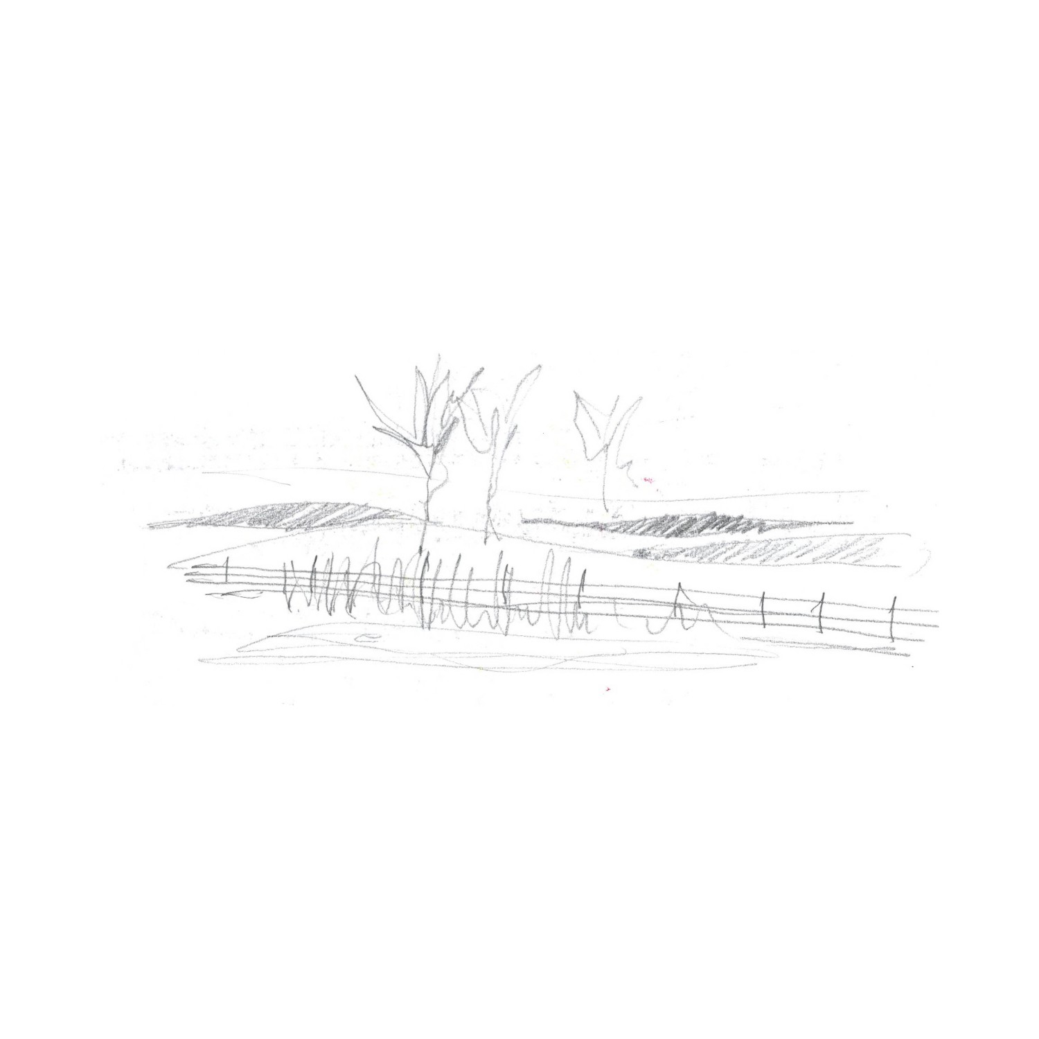 Projet_Salle l'Aurore19.jpg