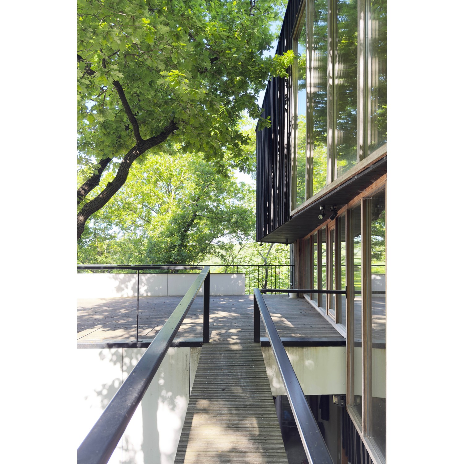 Projet_Habitation arbres104.jpg