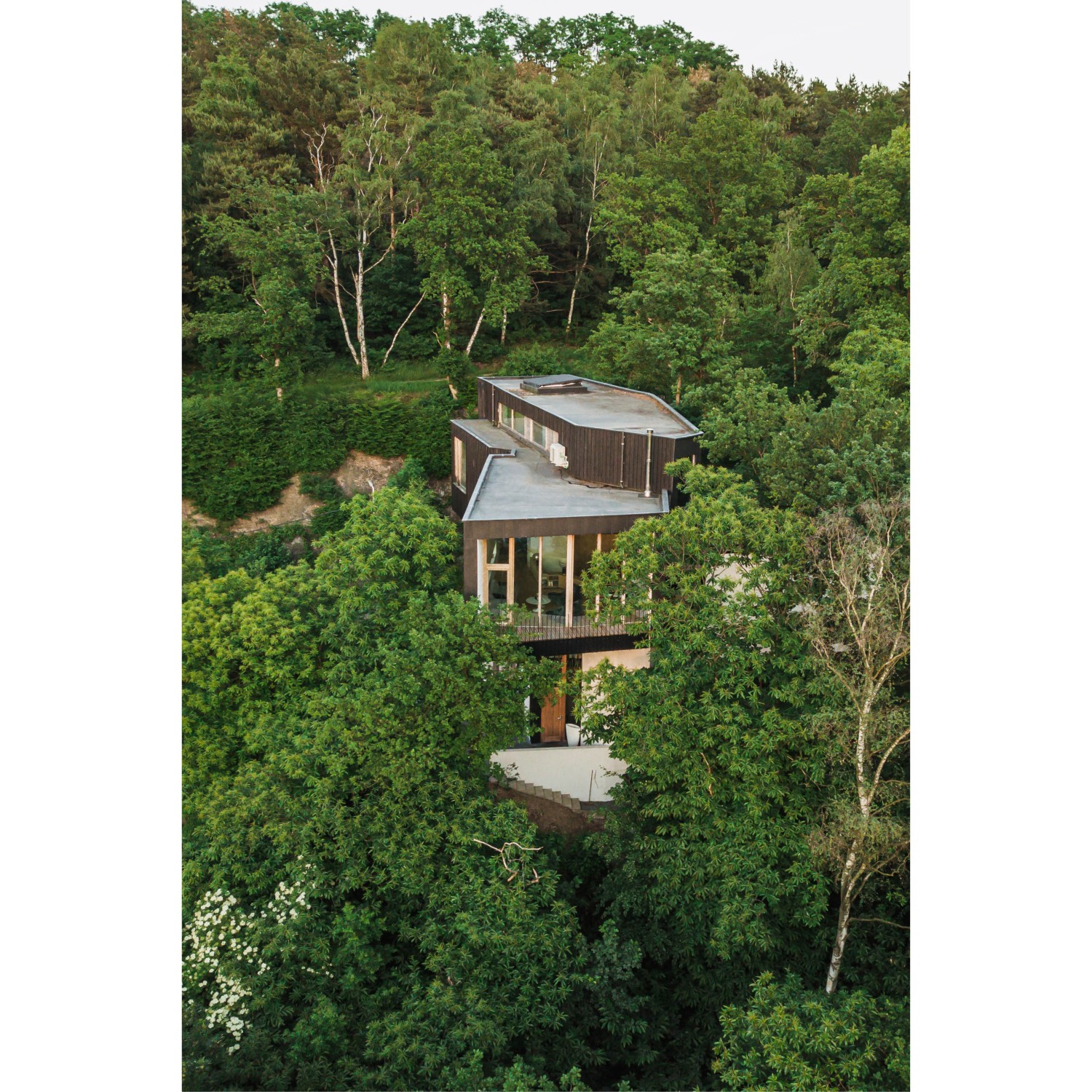 Projet_Habitation arbres4.jpg