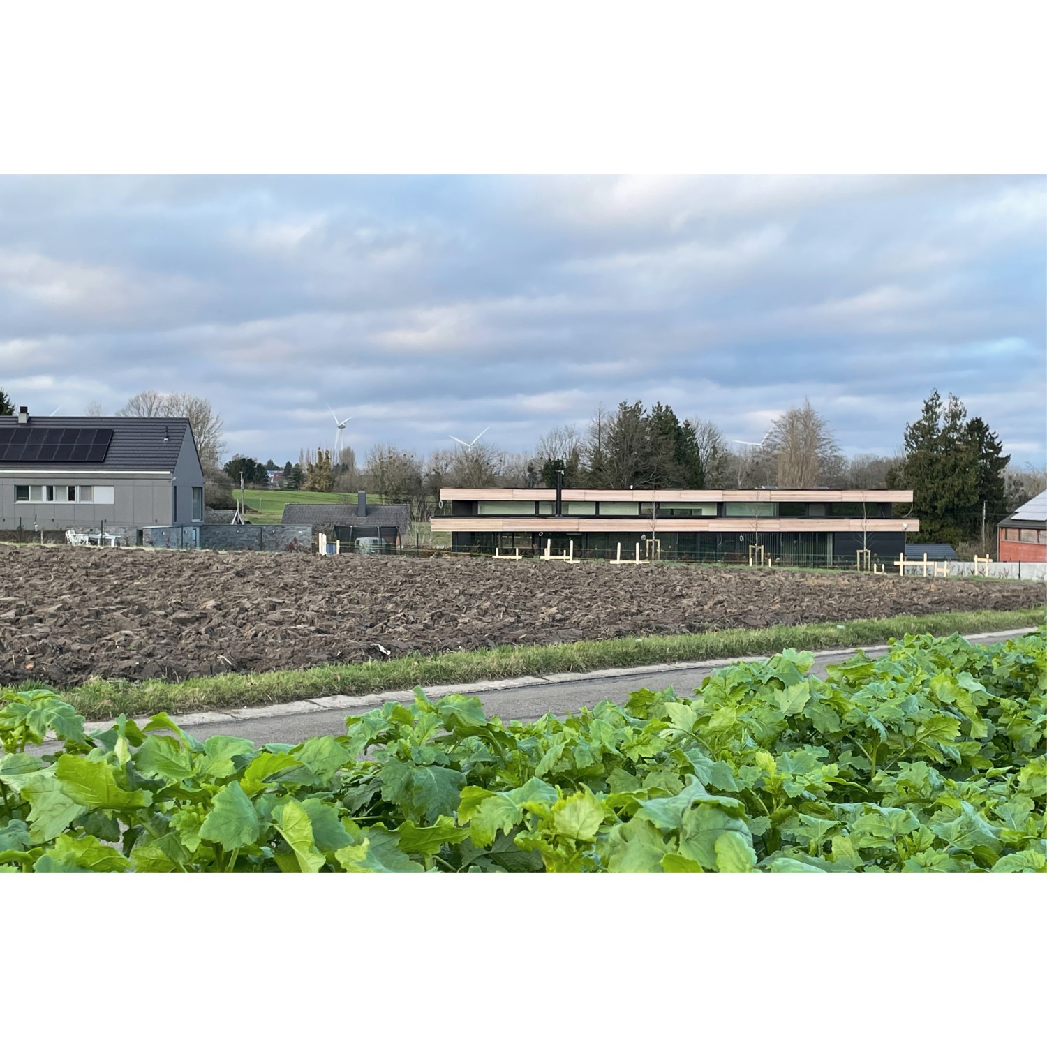 Encodage_Projets_Habitation sur la prairie15.jpg