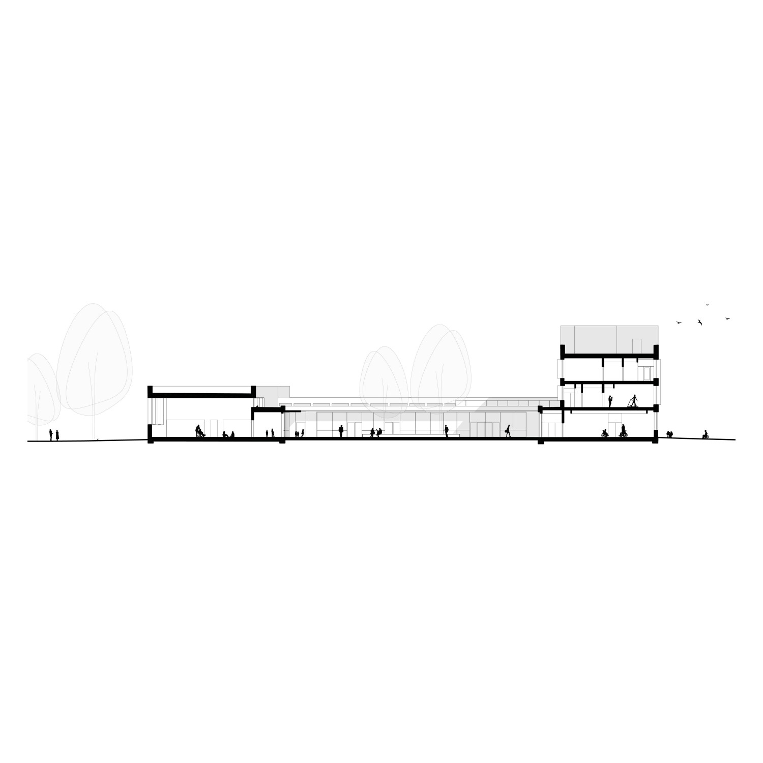 Projet_Centre cinetique13.jpg
