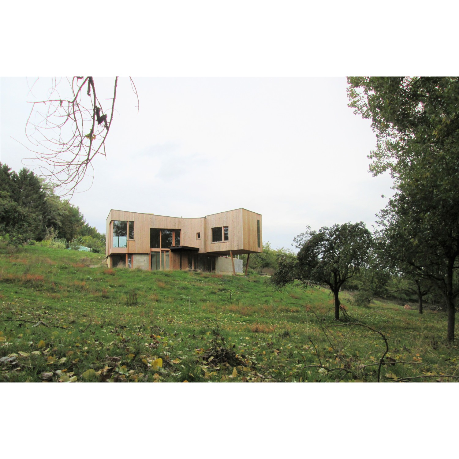 Encodage_Projets_Habitation dans un verger4.jpg