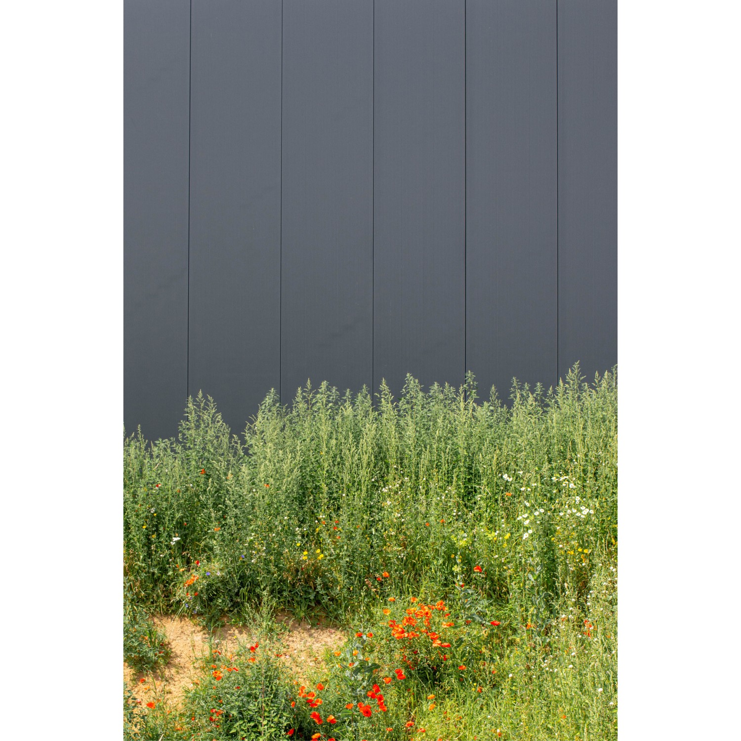 Projet_Hall industriel6.jpg