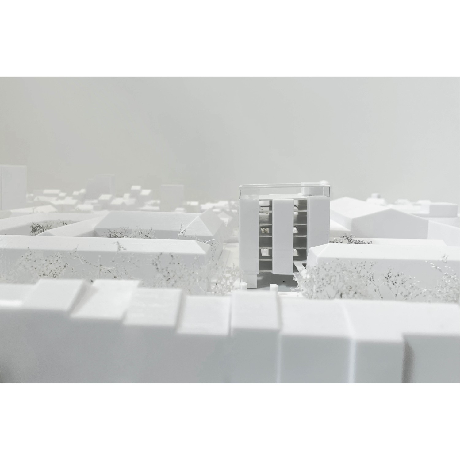 Projet_FAL8.jpg