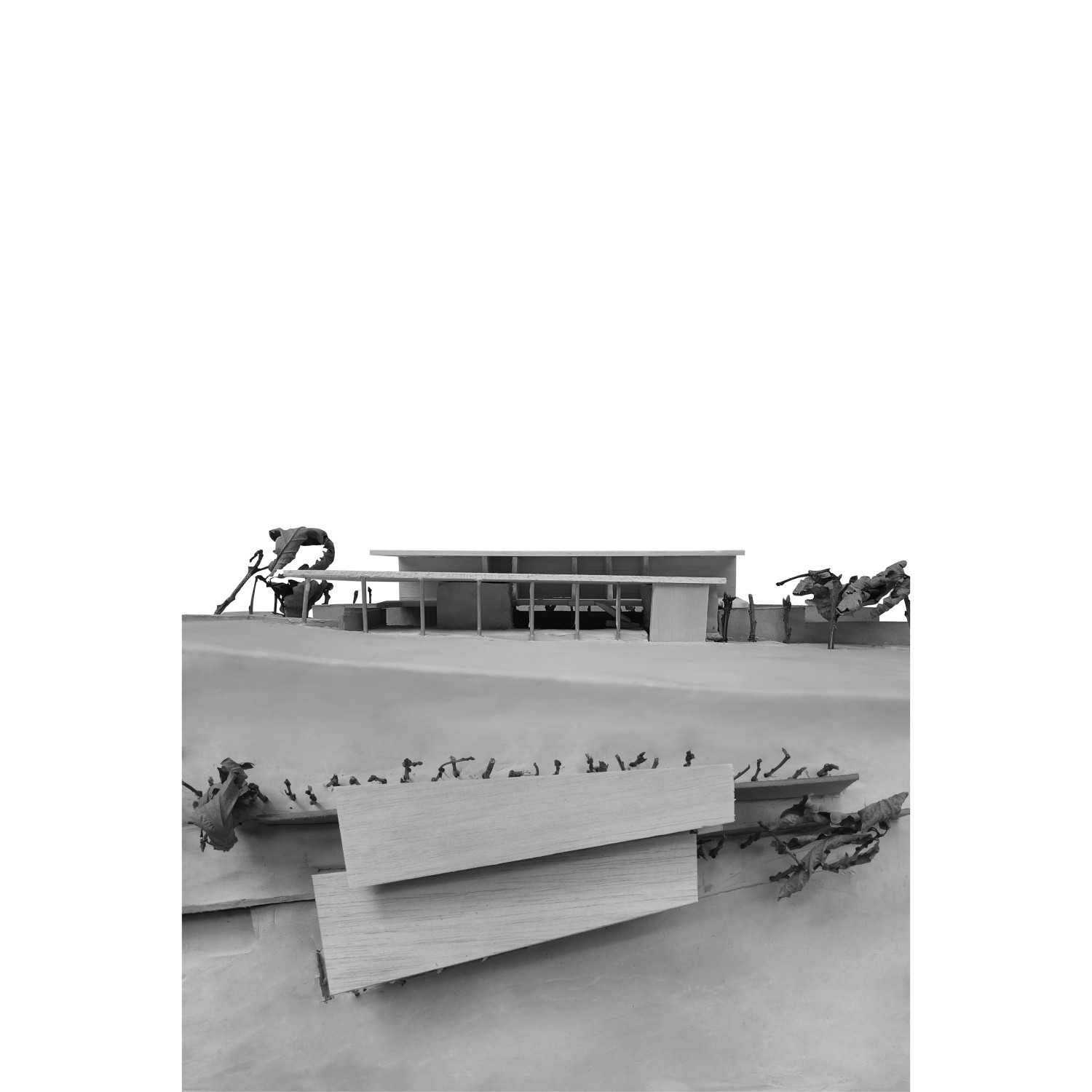 Encodage_Projets_Habitation sur la prairie18.jpg