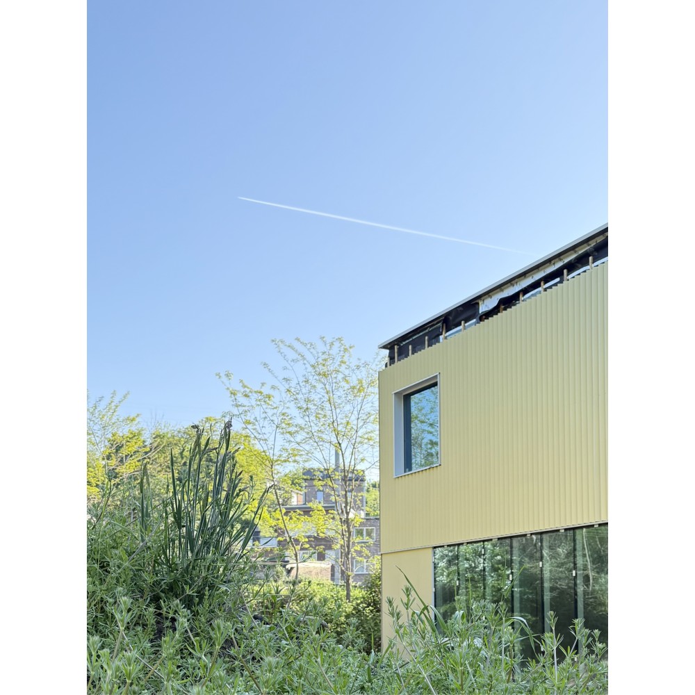 Projet_Ecole Jacques Brel153.jpg